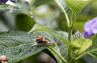 Similar image 22373319