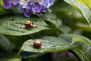 Similar image 22373354