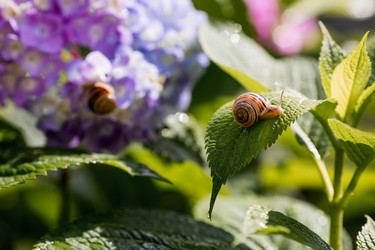 Similar image 22373356