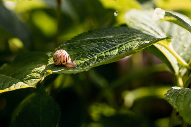 Similar image 22373357