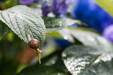 Similar image 22373358