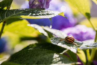 Similar image 22373359