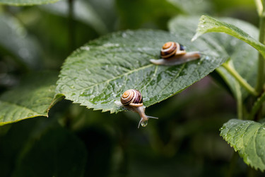 Similar image 22373361