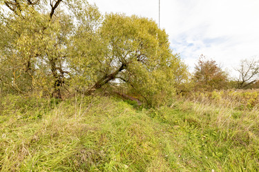 Similar image 22374309