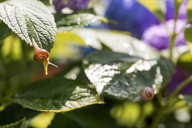 Similar image 22373362