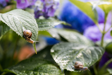 Similar image 22373363