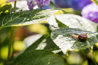 Similar image 22373364