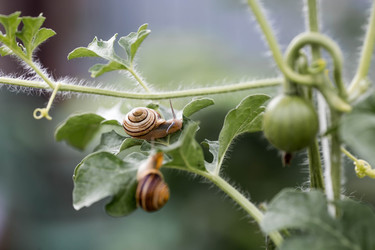 Similar image 22373366