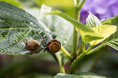 Similar image 22373367