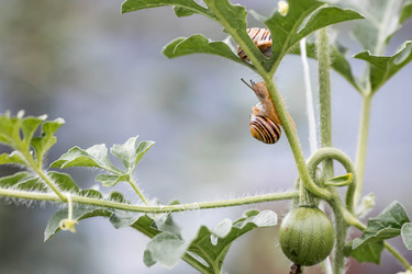 Similar image 22373369