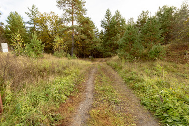 Similar image 22374325