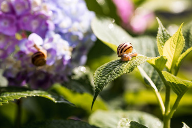 Similar image 22373371