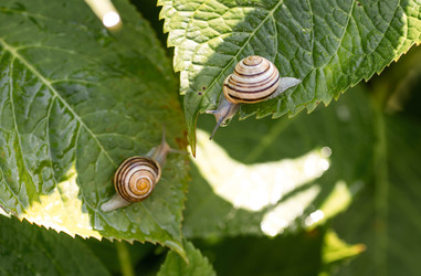 Similar image 22373372