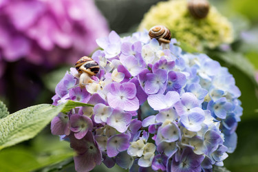 Similar image 22373375