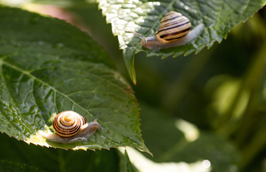 Similar image 22373376