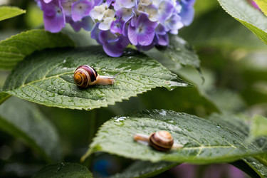 Similar image 22373377