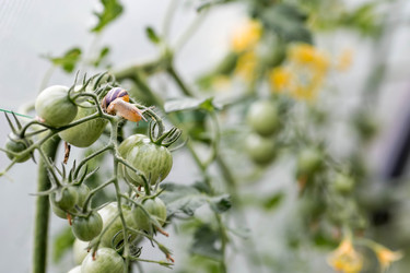 Similar image 22373381