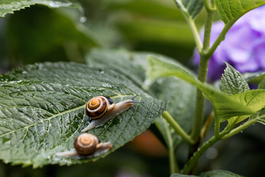 Similar image 22373382