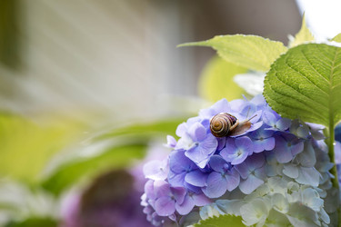 Similar image 22373383