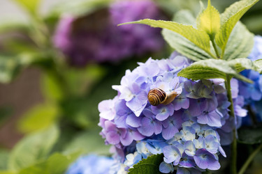 Similar image 22373384