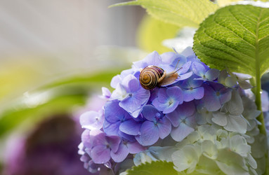 Similar image 22373385