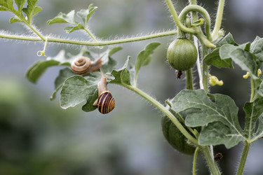 Similar image 22373386