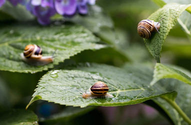 Similar image 22373387