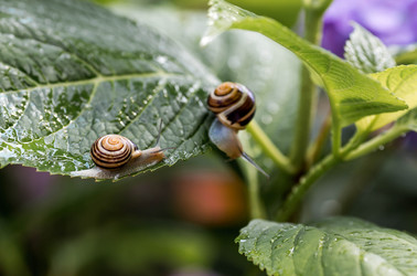 Similar image 22373388