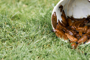 Similar image 22373389