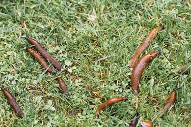 Similar image 22373390