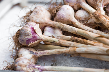 Similar image 22373391