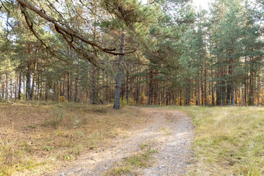 Similar image 22374354