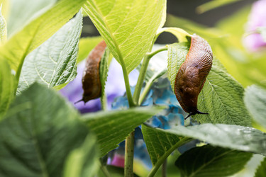 Similar image 22373392