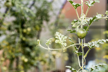 Similar image 22373393