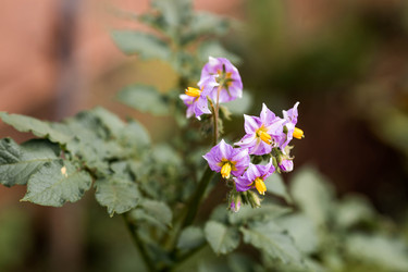 Similar image 22373394