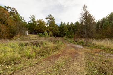 Similar image 22374355