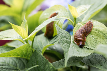 Similar image 22373396