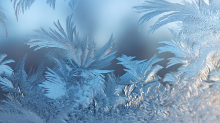 Similar image 22373980