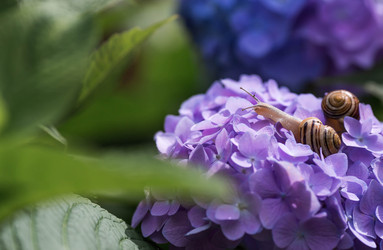 Similar image 22373400