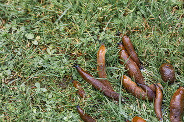 Similar image 22373401