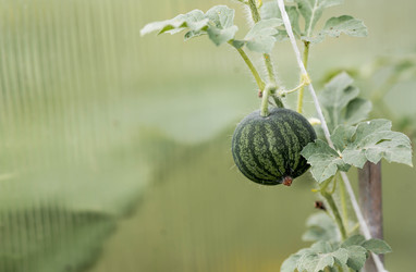 Similar image 22373402