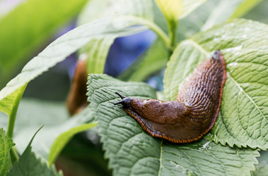 Similar image 22373404