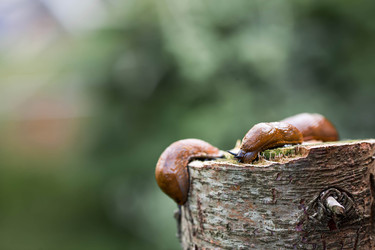 Similar image 22373405