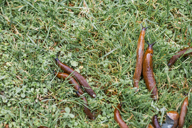 Similar image 22373406