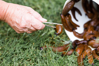 Similar image 22373407