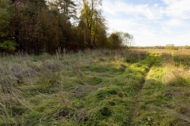 Similar image 22374412