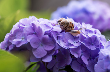 Similar image 22373409