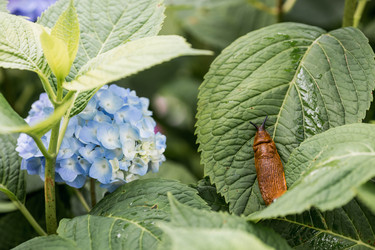 Similar image 22373416