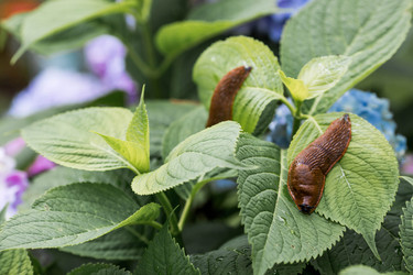 Similar image 22373418