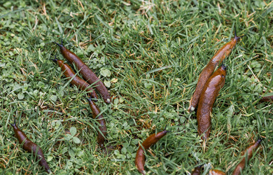 Similar image 22373419